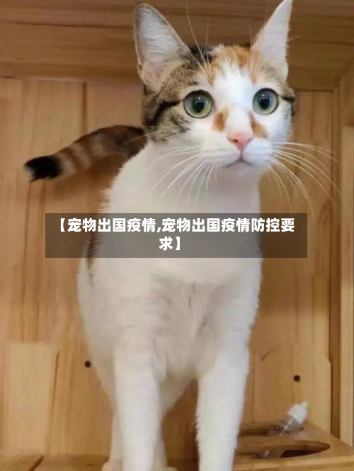 【宠物出国疫情,宠物出国疫情防控要求】