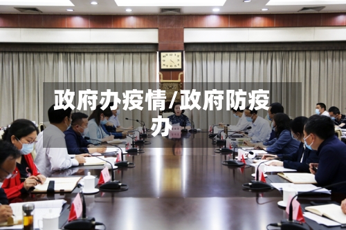 政府办疫情/政府防疫办